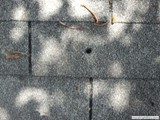 20130711_13.36.41